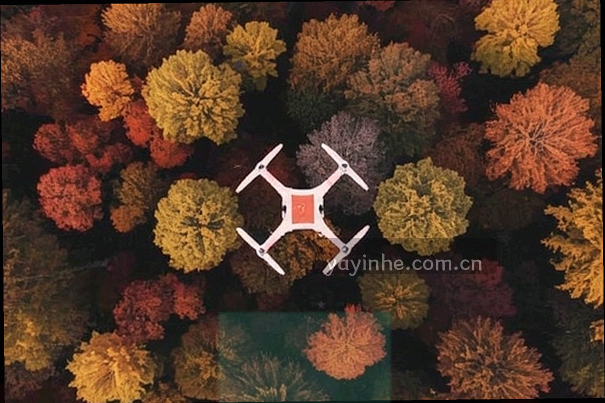 多条轨道汇向同一中心节点的抽象通讯示意图，表现邮箱、电话与表单归入同一支持入口
